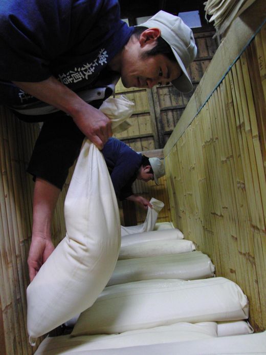 梅ヶ枝酒造 釀造現場